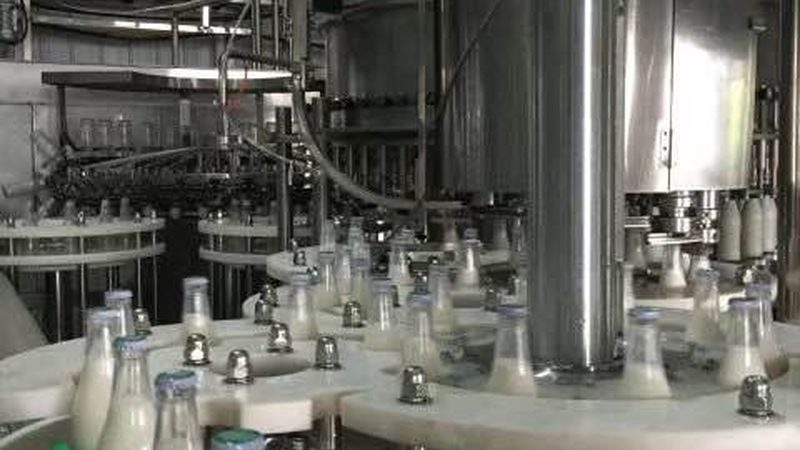 小型屠宰线参数里的门道，看懂这几点才不踩坑