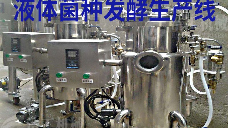 食品级输送设备：标准规范背后的秘密