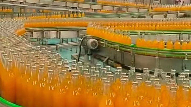 食品厂速冻设备操作入门：关键步骤与注意事项**